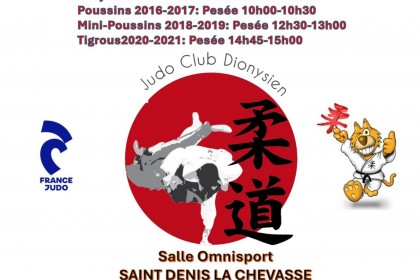 Tournoi inter club Saint Denis la Chevasse